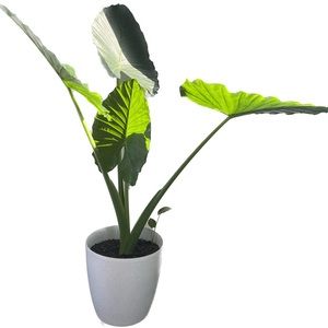 Meet your Posher, Luke